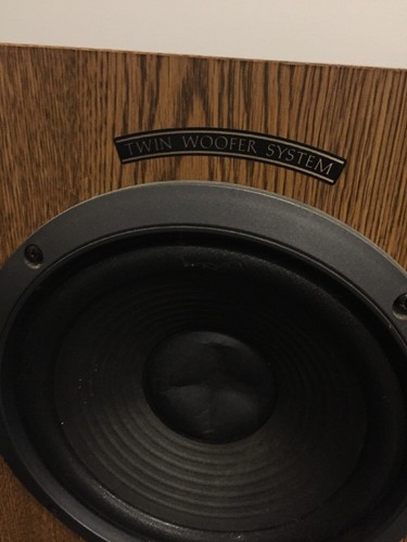 pioneer twin woofer system